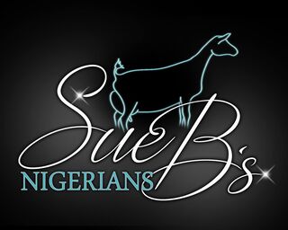 Sue B’s Nigerians  - Logo