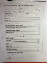 Halogen Judge Evaluation 2022