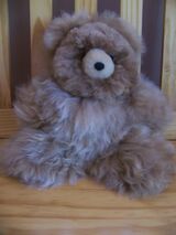 Photo of 14" stuffed teddy bear