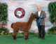 2013 cria, TCS Bocote, Multi-Blue ribbons!