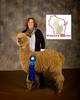 2014 cria, TCS Goldstone, Blue at WI!