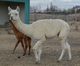 pretty girl...great fleece!