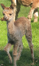 Cria pic..so cute!