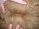 Great Crimp, and Staple Length!!