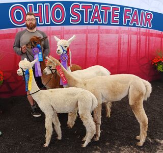 2024 Ohio State Fair 
