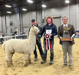 Caley's Ascension Supreme Champion Canadian National Futurity 2022