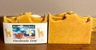 Handmade Tallow Soap & Shampoo