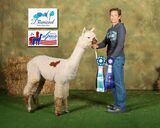 Iowa Oct 2024 - 2 firsts in WF and a 1st in Halter