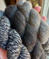 trio of 2024 skeins in sunlight