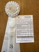 Alpaca Quebec 2021 fleece show-81 points