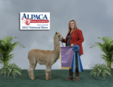 alpaca for sale