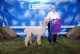 Kick Start was Mystiques first cria at OWL Acres - not too shabby!!