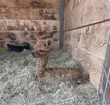 Just born- look at that smile