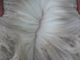 Alexandrya's fleece, April 2009