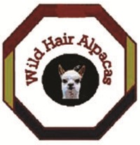 Wild Hair Alpacas LLC - Logo
