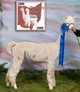 BLUE RIBBON at 2010 Buckeye