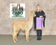 Color Champion - Carolina Alpaca Celebration