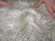 Yearling fleece