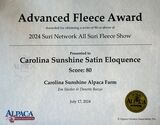 2024 Suri Network Advanced Fleece Award