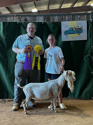 Best in Show, Best of Breed Alabama Classic