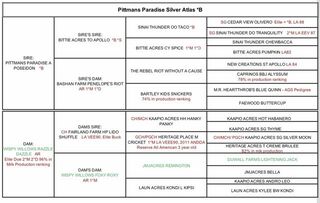 Sires pedigree 