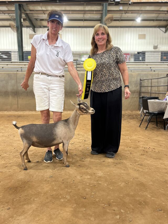 Jr Grand Champion Brousin the Pines 