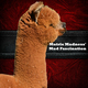 1st cria Mad Fascination @ 2yr