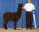 Daughter - 1st Futurity