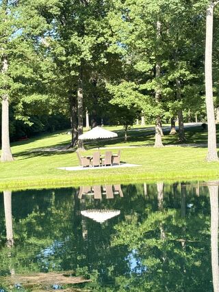 Pond and Picnic