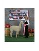 Award Winning Cria