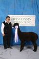 Reserve Champion