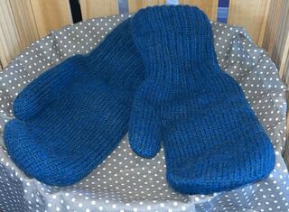 Mother Nature's Finest Fibers Mittens