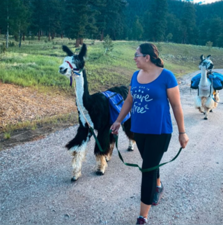 Llama Hike