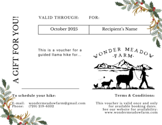 Guided Llama Hike Gift Certificate