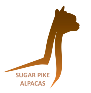 Brandsma Farm dba Sugar Pike Alpacas - Logo