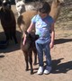 Sassy as a 1-mos old cria... curious girl!