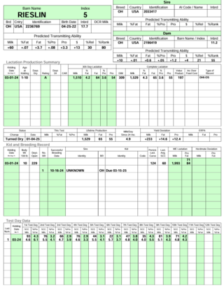 2024 FF doe sheet