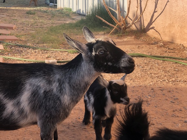 7P and her daughter 27P