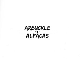 Arbuckle Alpacas - Logo