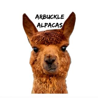 Arbuckle Alpacas: Woerz Exotics LLC. - Logo