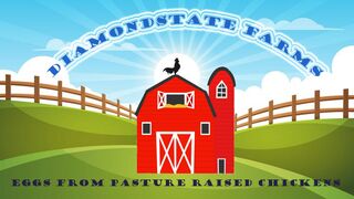 DiamondState Farms - Logo