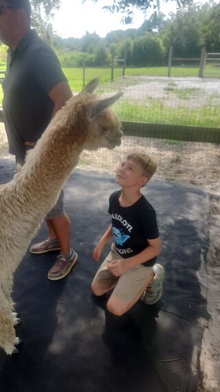 Excited to start our alpaca farming 2024