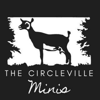 The Circleville Minis  - Logo