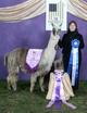 Raven's 1/2 Sister is Futurity Champion