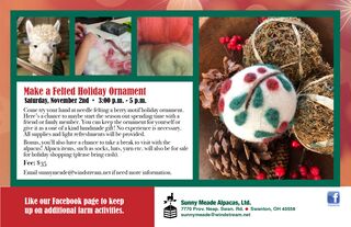 Needle Felted Holiday Ornament Class