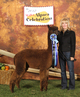 Sunset Hills Brownstone, 1st Place MABA Alpaca Celebration 2012