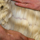 Zelestial fleece 2011