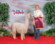 JUDGES CHOICE Daughter - SPAR's Vicki's Sweetie Pea owned by Miller-McMahan Alpacas