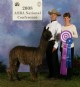 Champion Full Brother - GLR Kolaqua