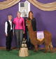 SPAR's Bang Bang - 2012 Futurity Color Champion